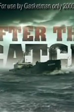 Watch After the Catch Megashare9